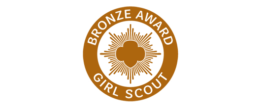 bronze award bronze award