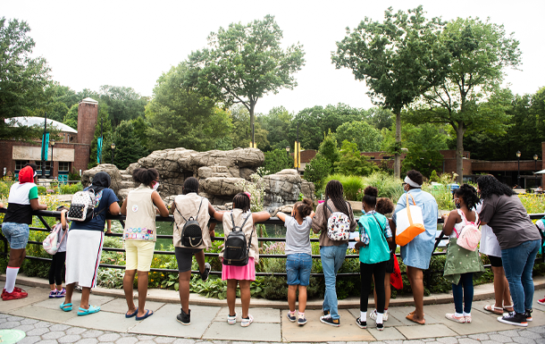 Girl Scouts at the Prospect Park Zoo